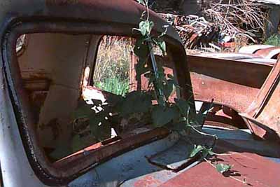 junkyard photos chevy gmc trucks